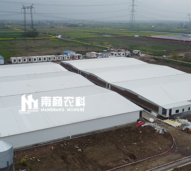 南商农科：江苏常州规模70000头育肥猪场