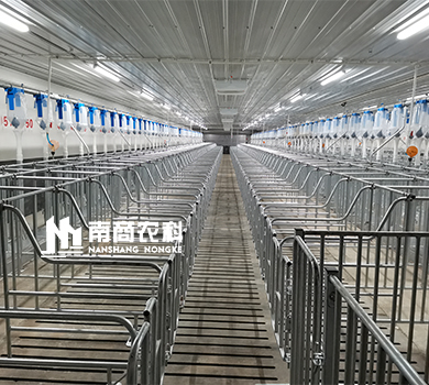 南商农科：山东聊城规模4800头母猪场