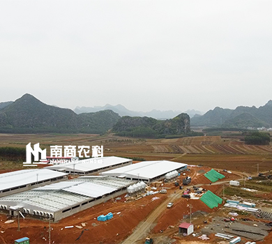 南商农科：广西象州规模26000头育肥场